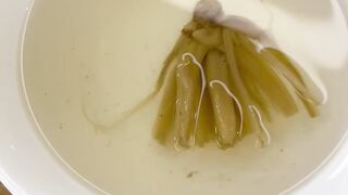 Enter at Your Own Risk! Free Soup Surprise at the Canteen