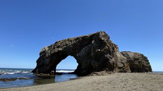 Cape Giant (Bird) on Sakhalin