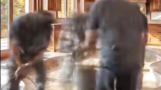 What a wonderful and meticulous piece of work!