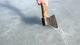 A Day of Fishing Adventures