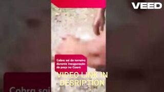 Original Videos portal zacarias torneira humana torneira humano portal zacarias