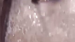 Mau ketawa takut dosa video  lucu bikin ngakak hiburan warga62