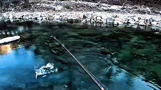 The Water Never Promised Fish, Only Time to Know Yourself