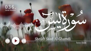 سورة يس - سعد الغامدي Surat Yasin - Saad Al-Ghamdi