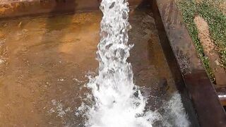 water water everywhere