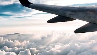 Avianca Brasil telefone são paulo - Entre em contato a Avianca no Brasil