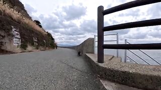 A cat guarding a stone monument on the edge of Cat Island was out, but when he noticed a visitor he rushed back, which was so adorable.
