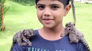 Cute Pets Funny