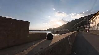 I sat next to a black cat on the breakwater, and it naturally jumped onto my lap. It was a precious moment.