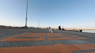 A chatty cat slacks off during patrol at the fishing spot to come get petted. Oh no, hes bringing that person with him. He briskly grabs a fish!