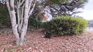 The moment I sat down on a park bench, a cat came and sat next to me. This sense of closeness is so precious