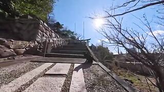 I met a cat at the bottom of the shrine stairs, and when we went to the shrine on the cliff together, my heart was purified.
