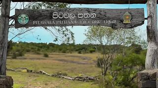 Wonderful place of sri lanka