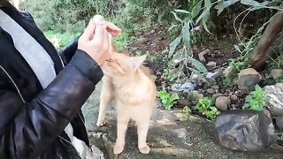 Sonny the cat was very excited and happy to see us