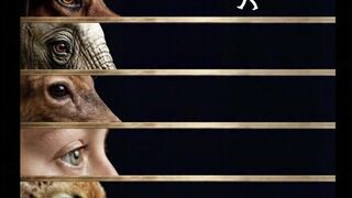 Human vision is built for balance. Animal vision is built for reach.