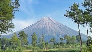 Is This Real Life? A Perfect Morning in Paradise