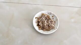 The first meal for kittens weaned from formula.