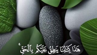 Tilawat e Quran paak