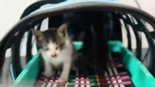 The kitten suddenly had sore eyes after waking up this morning, which made me worried.