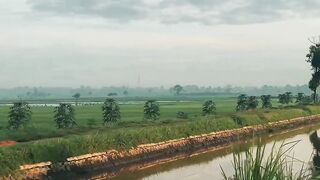 Side of river
