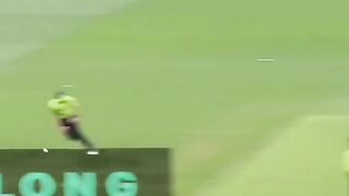 Babar Azam and Steve Smith good batting in BBL