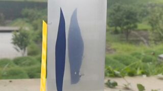 A Question About Fathers We Rarely Ask