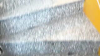 Rescued kittens are calling for their mother. The black cat is the hungriest! Subtitles