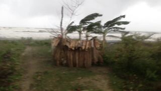 Waves of the Bay of Bengal