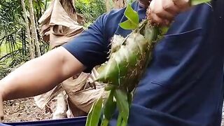 Ketoo kambaa biomu