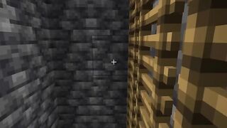 Minecraft Moment Part 2