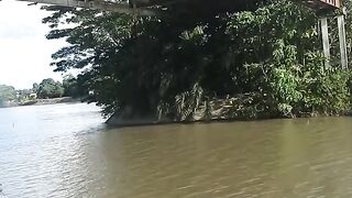 Manggil buaya dibawa jembatan rangkui