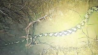 Kok bisa ya airnya gak keruh dia lewat