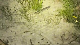 Cukup depan rumah warga