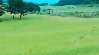 Meh apse bohot pyar krti hu ma