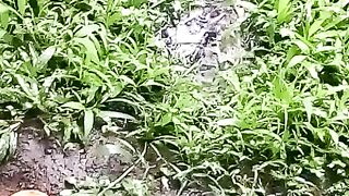 Hujan hujan gini enaknya ngapain ya?