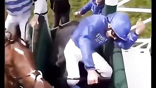 Horse takes revenger for making his master