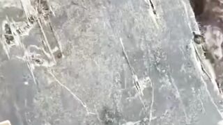 Temuan mengejutkan di Gunung Bulusaraung