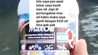 Inilah ALASAN kenapa BlueCore mengeluarkan PRODUK versi Lite nya