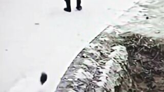 DEFINISI HOG RIDER IN REAL LIFE )