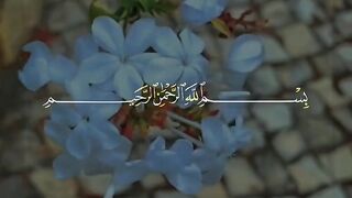 Tilawat e Quran Majeed