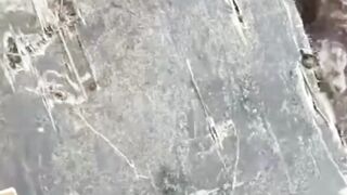 VIRALL!!! PUING PESAWAT ATR 42-500 DITEMUKAN DI MAROS