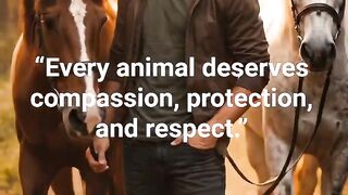 Every animal deserves compassion a message That Will Touch Your Heart