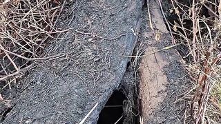 Spotnya seperti jamban