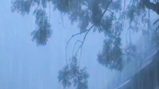 rain sounds shorts