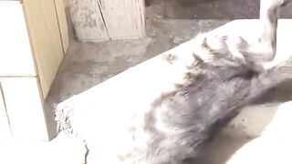 Some Big Fails