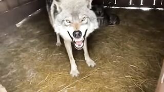 AkuMembukaPintuGudangKu,DanTakPercayaApaYangKuLihat..