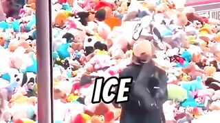 Why Fans Throw Teddy Bears On Ice❓ #shorts #usa #america