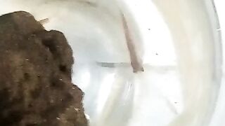 Di tempat kayak gini kok ikanya betah ya
