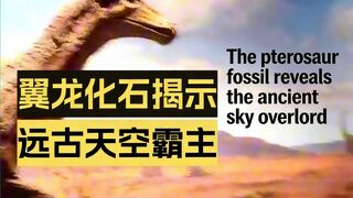 National Maritime Museum Tianjin: Guide & Highlights Part 1 (Non-Marine Zones)中国天津国家海洋博物馆分享及景点介绍1