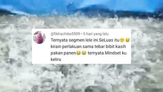 Pemula langsung KAGET setelah tau budidaya lele SEBENARNYA
